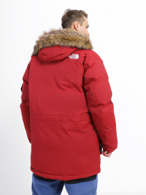 Парка The North Face Recycled Mcmurdo модель NF0A4M8G6R31 Фото