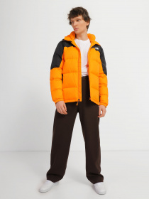 Пуховик The North Face Diablo модель NF0A4M9L7Q61 Фото