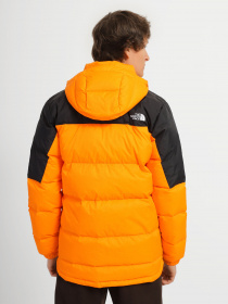 Пуховик The North Face Diablo модель NF0A4M9L7Q61 Фото