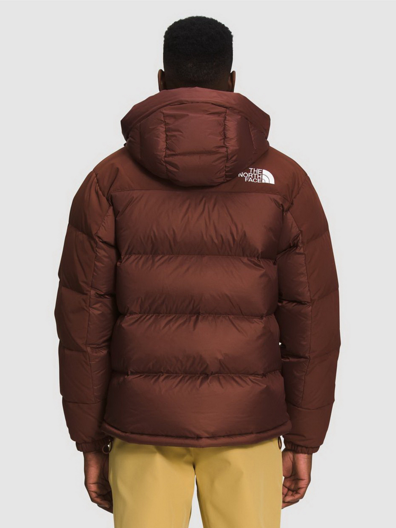 Пуховик The North Face Himalayan модель NF0A4QYX6S21 Фото