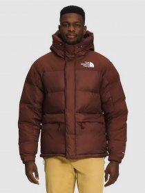 Пуховик The North Face Himalayan модель NF0A4QYX6S21 Фото