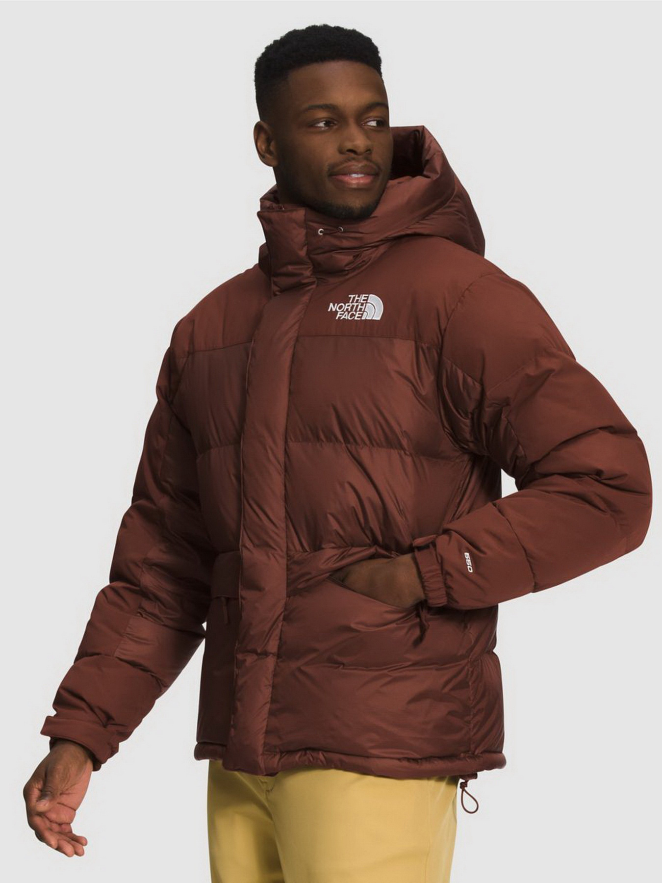 Пуховик The North Face Himalayan модель NF0A4QYX6S21 Фото