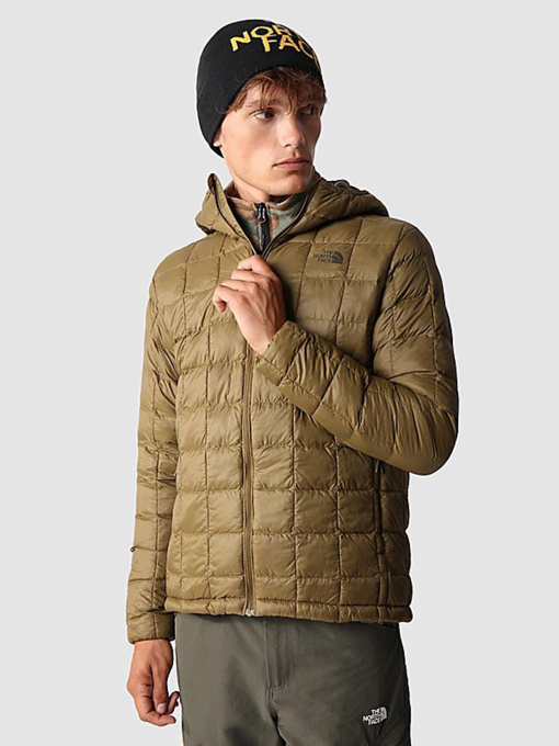 Демисезонная куртка The North Face Thermoball Eco модель NF0A5GLK37U1 Фото