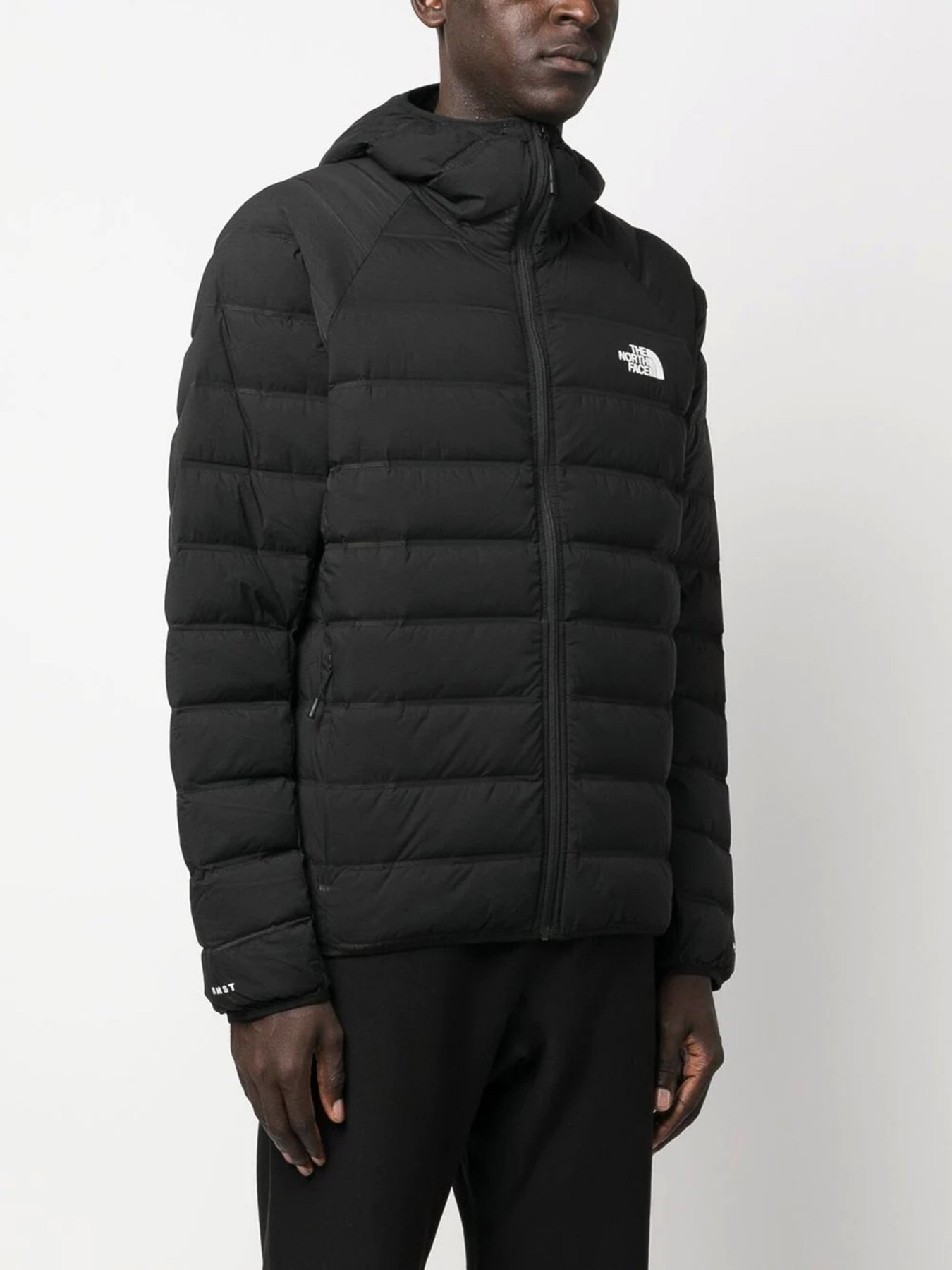 Пуховик The North Face Down Hooded модель NF0A7UQAJK31 Фото