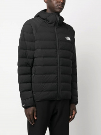 Пуховик The North Face Down Hooded модель NF0A7UQAJK31 Фото