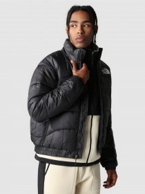 Зимова куртка The North Face 2000 SYNTHETIC PUFFER модель NF0A7UREJK31 Фото