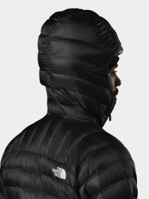 Зимняя куртка The North Face SUMMIT BREITHORN модель NF0A7UT8JK31 Зимняя куртка The North Face SUMMIT BREITHORN модель NF0A7UT8JK31 Фото