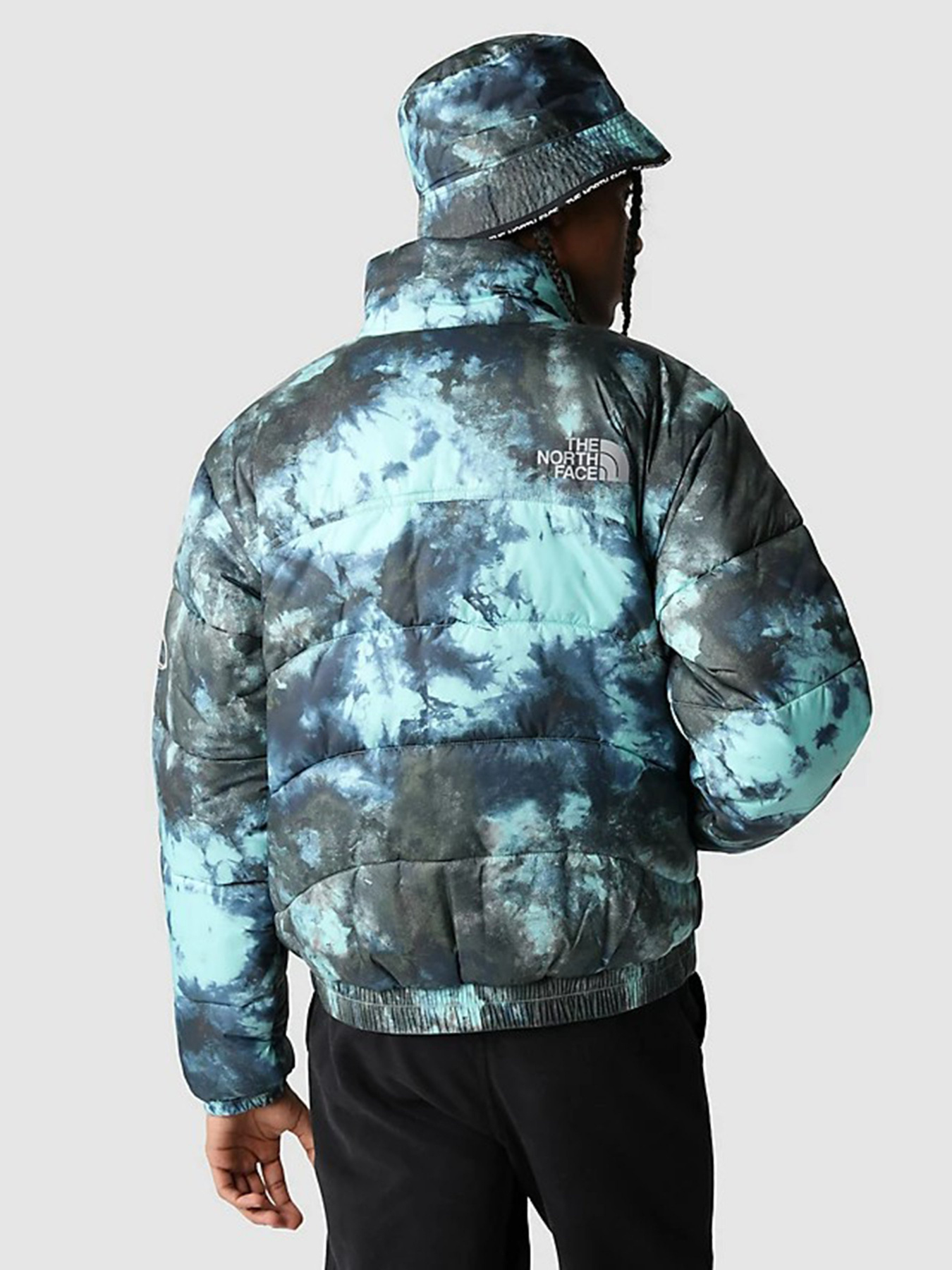 Зимняя куртка The North Face 2000 модель NF0A7WW69571 Фото