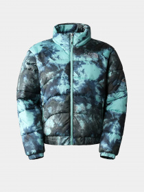 Зимняя куртка The North Face 2000 модель NF0A7WW69571 Фото