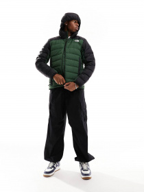 Демісезонна куртка The North Face Doudoune Capuche Lapaz модель NF0A7WZWNYC1 Фото