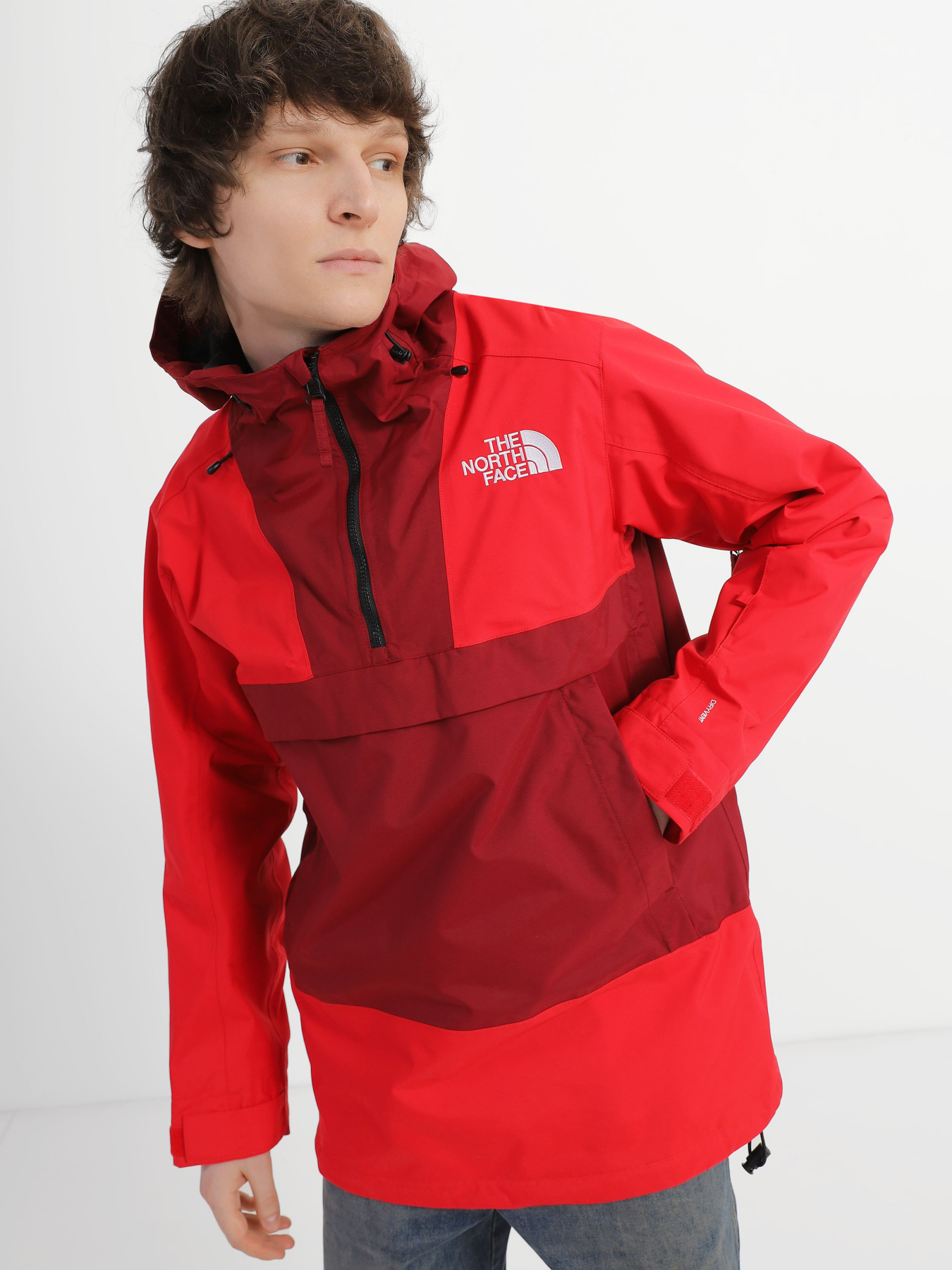 Горнолыжная куртка The North Face Silvani модель NF0A4QXE92L1 Фото