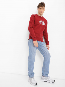 Свитшот The North Face Drew Peak Crew Neck модель NF0A4SVR6R31 Фото