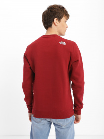 Світшот The North Face Drew Peak Crew Neck модель NF0A4SVR6R31 Фото