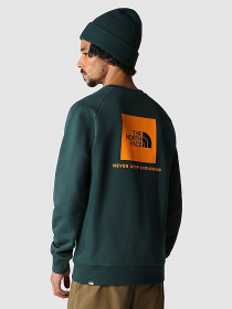 Свитшот The North Face Raglan Red Box модель NF0A4SZ9D7V1 Фото