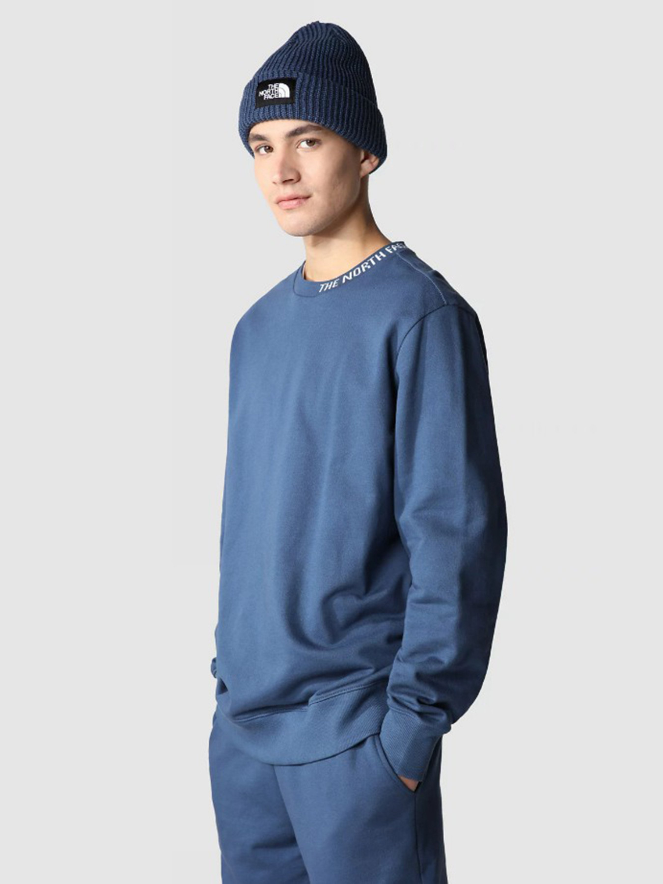Свитшот The North Face Face Zumu Crewneck модель NF0A5ILHHDC1 Фото