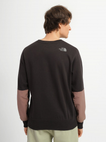 Свитшот The North Face Coordinates модель NF0A7UO184R1 Фото