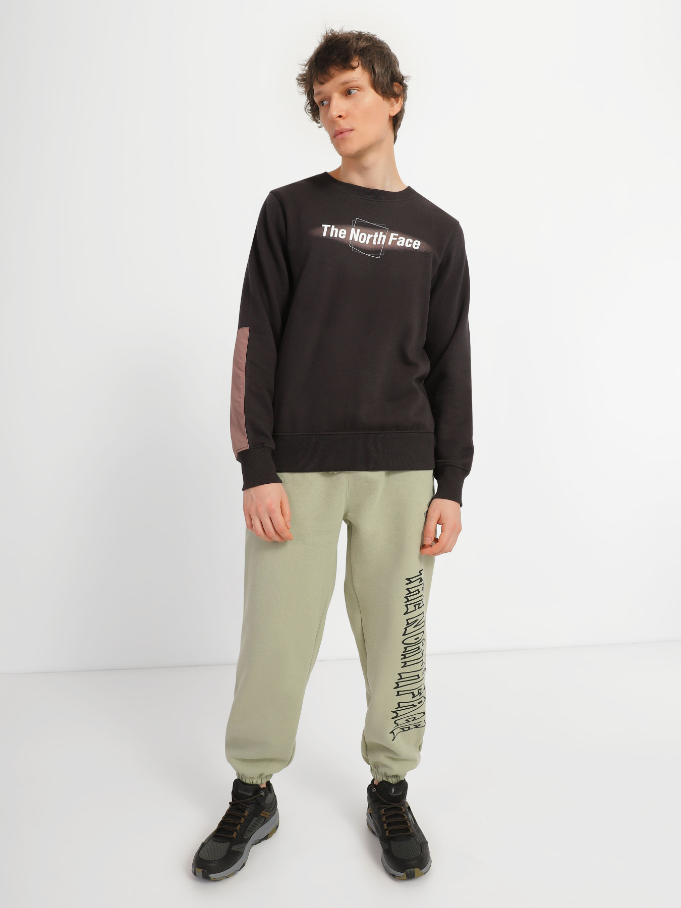 Свитшот The North Face Coordinates модель NF0A7UO184R1 Фото