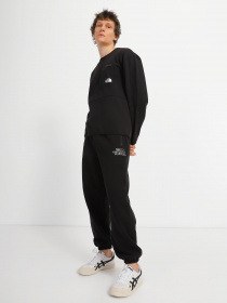 Свитшот The North Face Tech Crew модель NF0A7UQUJK31 Свитшот The North Face Tech Crew модель NF0A7UQUJK31 Фото