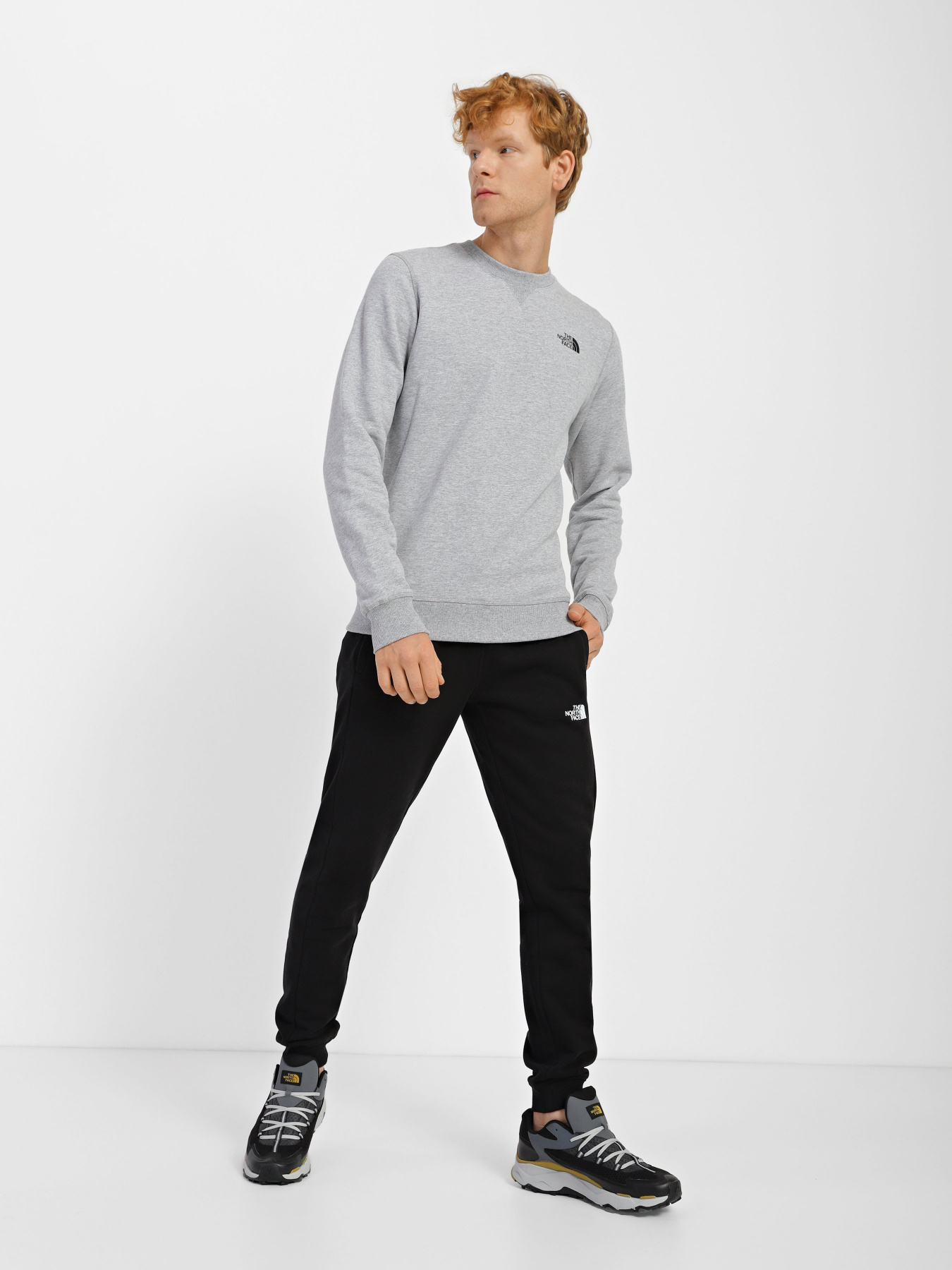 Свитшот The North Face Simple Dome Crew модель NF0A7X1IDYX1 Фото