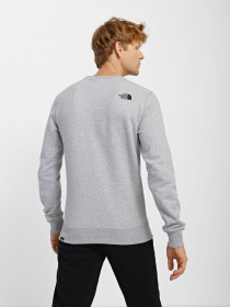 Свитшот The North Face Simple Dome Crew модель NF0A7X1IDYX1 Фото