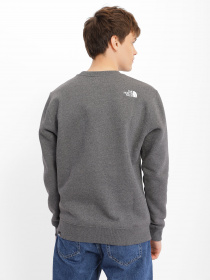 Свитшот The North Face SEASONAL FINE CREW модель NF0A7X36DYY1 Фото