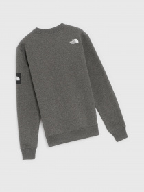 Свитшот The North Face SEASONAL FINE CREW модель NF0A7X36DYY1 Фото