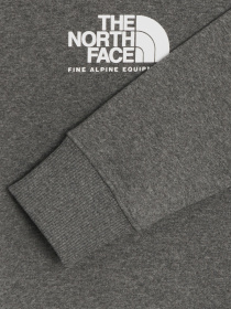 Свитшот The North Face SEASONAL FINE CREW модель NF0A7X36DYY1 Фото