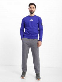 Свитшот The North Face SEASONAL FINE CREW модель NF0A7X3640S1 Фото