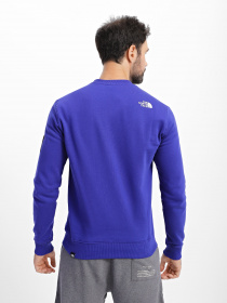 Свитшот The North Face SEASONAL FINE CREW модель NF0A7X3640S1 Фото