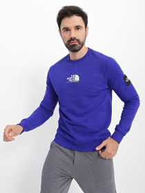 Світшот The North Face SEASONAL FINE CREW модель NF0A7X3640S1 Фото