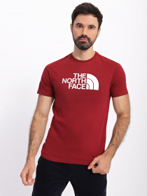 Футболка The North Face Easy модель NF0A2TX36R31 Фото