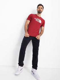 Футболка The North Face Easy модель NF0A2TX36R31 Фото