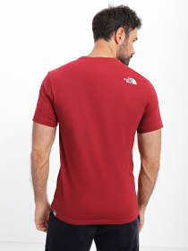 Футболка The North Face Easy модель NF0A2TX36R31 Фото