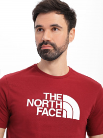 Футболка The North Face Easy модель NF0A2TX36R31 Фото