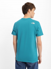 Футболка The North Face Simple Dome модель NF0A2TX52W91 Фото