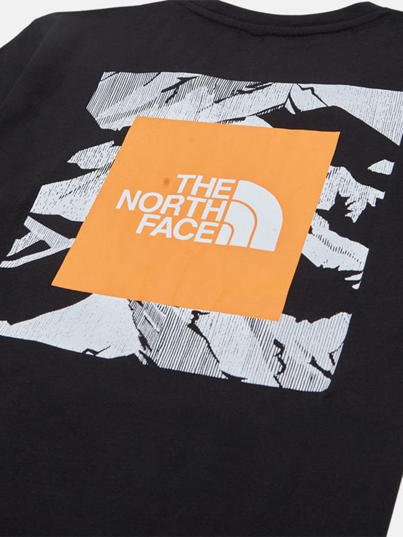 Футболки і поло The North Face Girocollo модель NF0A55EF84P1 Фото