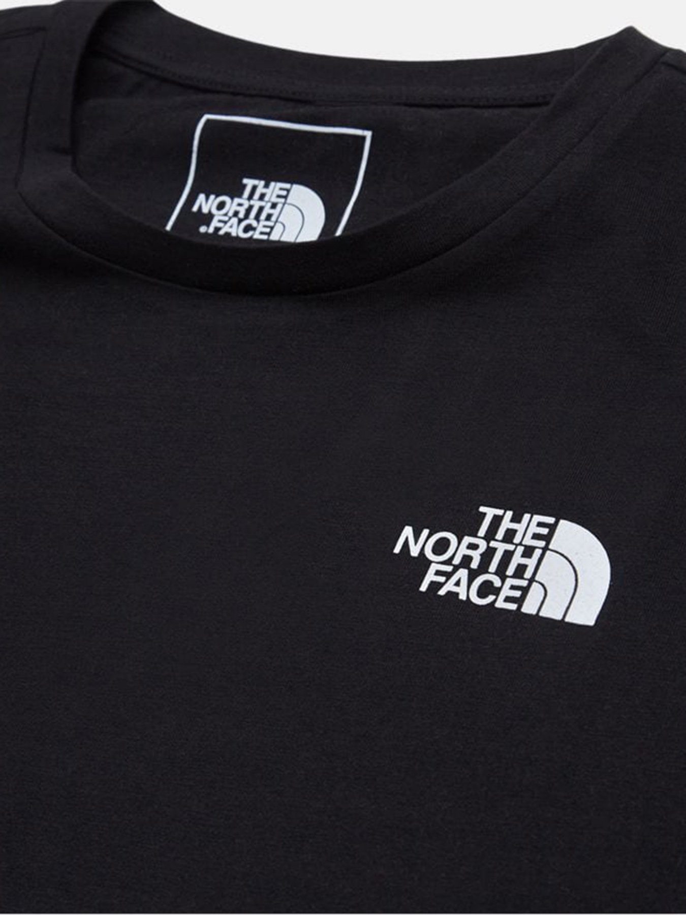 Футболки і поло The North Face Girocollo модель NF0A55EF84P1 Фото