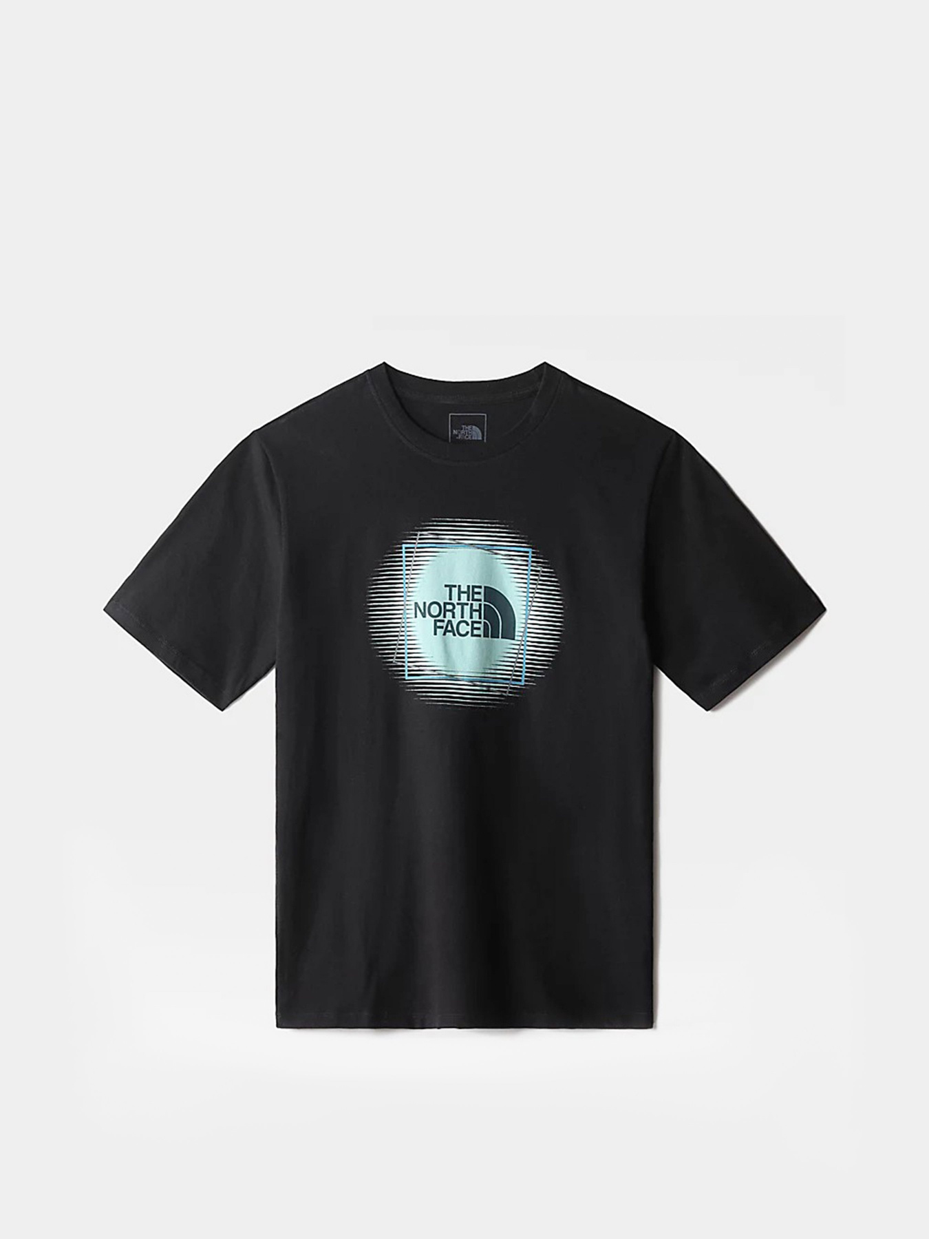 Футболка The North Face Coordinates модель NF0A7UOH8561 Фото