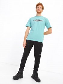 Футболка The North Face Coordinates модель NF0A7UOH8641 Фото