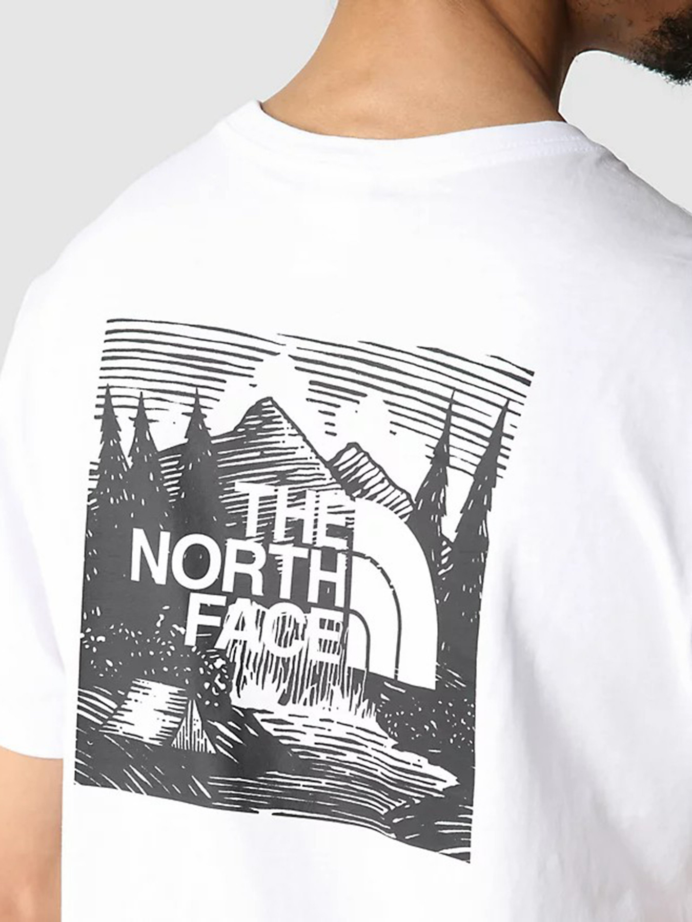 Футболка The North Face Redbox Celebration модель NF0A7X1KFN41 Фото