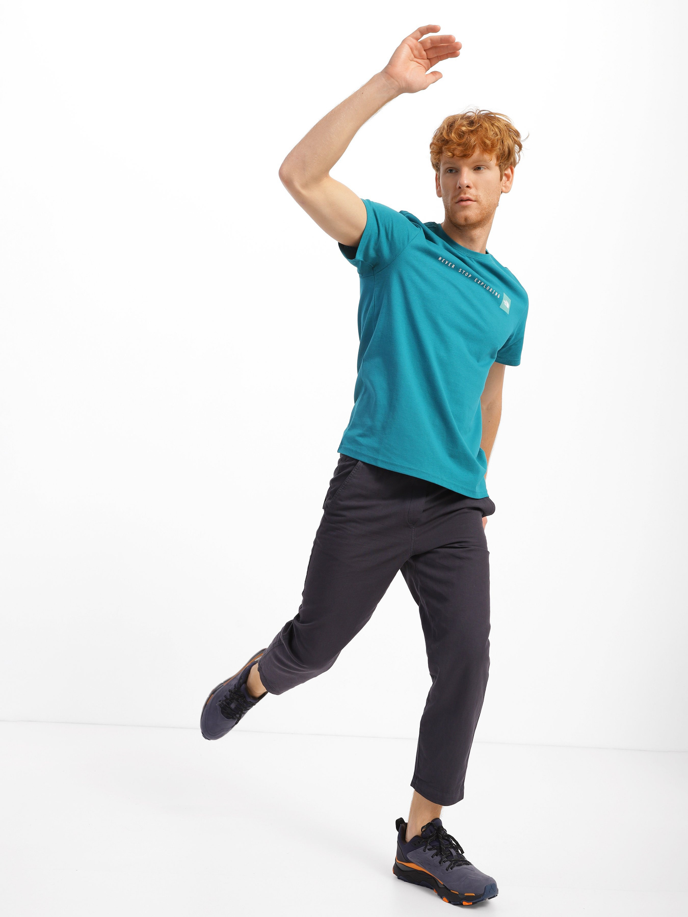 Футболка The North Face NSE модель NF0A7X1M2W91 Фото