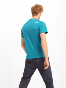 Футболка The North Face NSE модель NF0A7X1M2W91 Фото