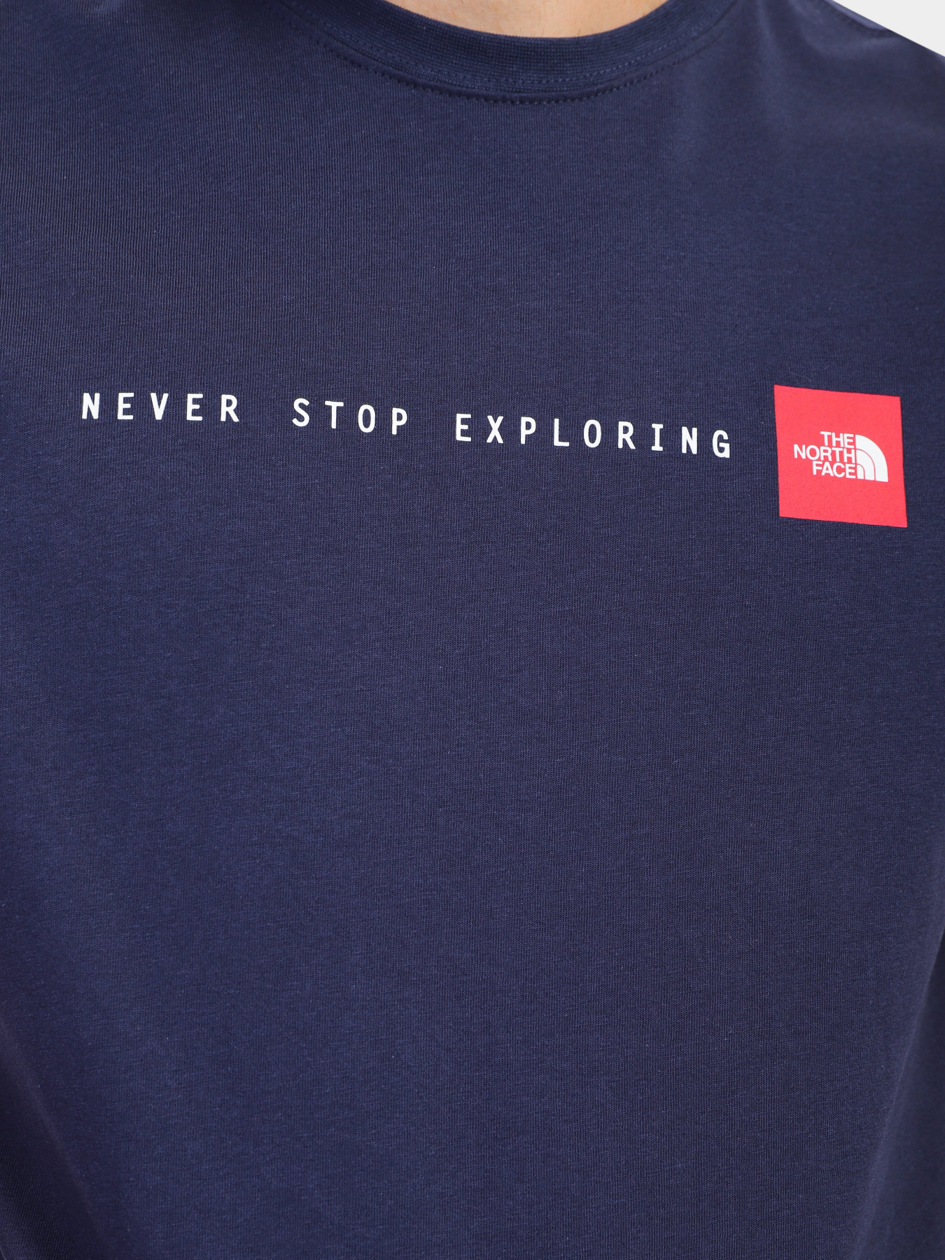 Футболка The North Face NSE модель NF0A7X1M8K21 Фото