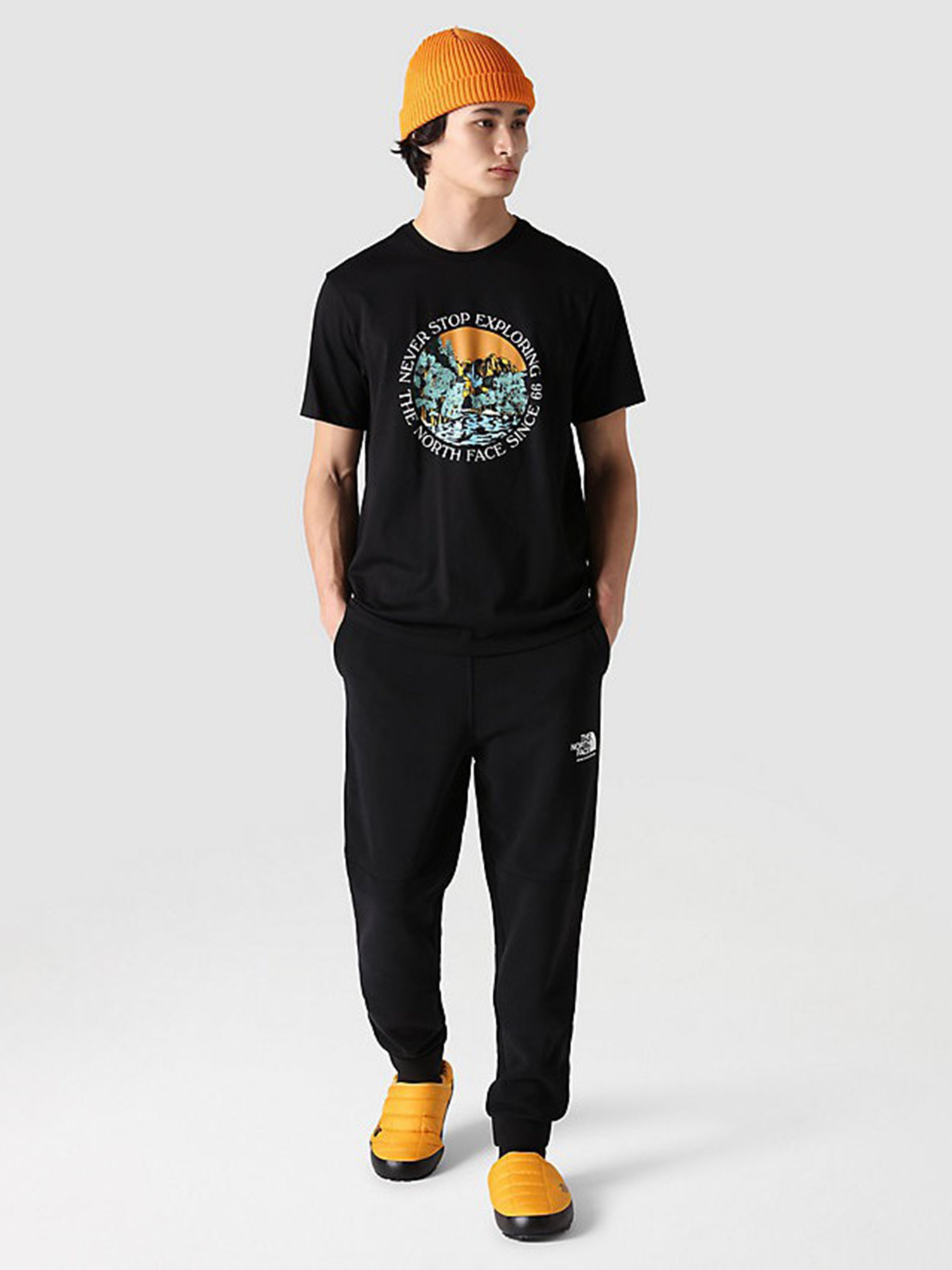 Футболка The North Face Never Stop Exploring модель NF0A7X1OJK31 Фото