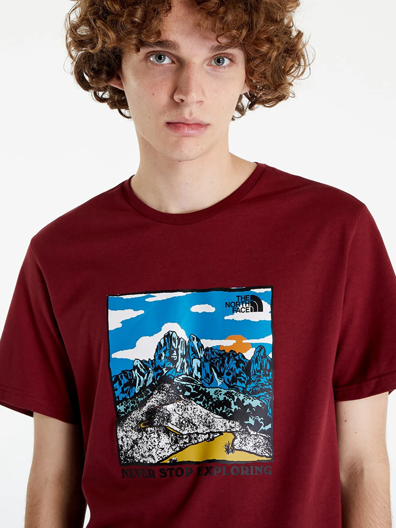 Футболка The North Face Seasonal Graphic модель NF0A7X1O6R31 Фото