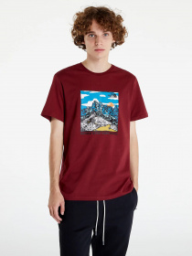 Футболка The North Face Seasonal Graphic модель NF0A7X1O6R31 Фото