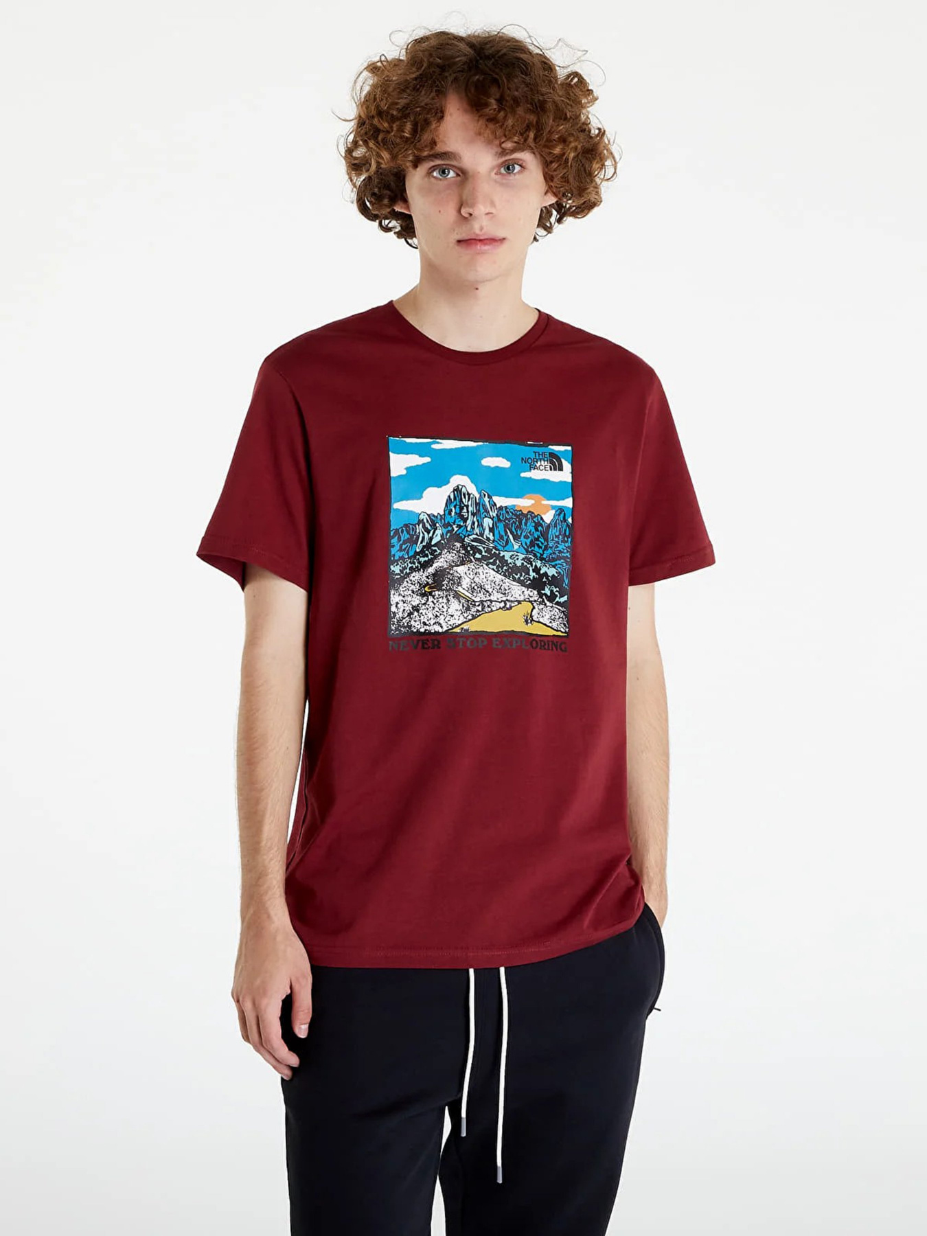 Футболка The North Face Seasonal Graphic модель NF0A7X1O6R31 Фото