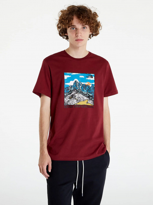 Футболка The North Face Seasonal Graphic модель NF0A7X1O6R31 Фото