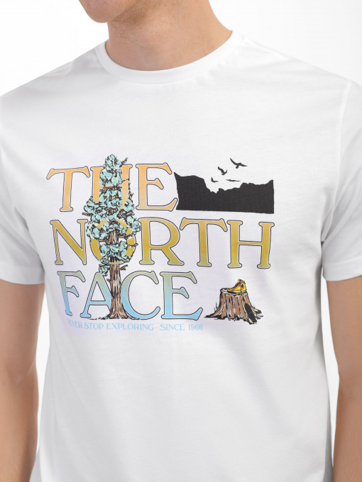 Футболка The North Face Seasonal Graphic модель NF0A7X1OFN41 Фото
