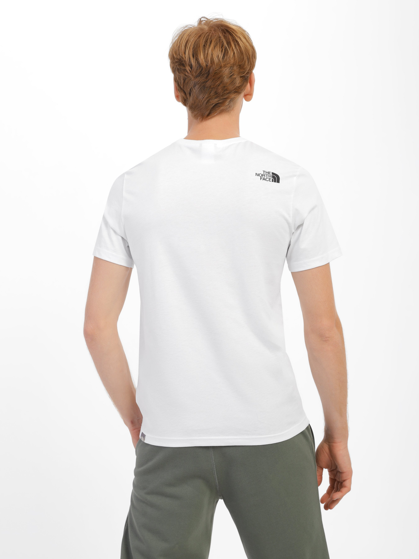 Футболка The North Face Seasonal Graphic модель NF0A7X1OFN41 Фото